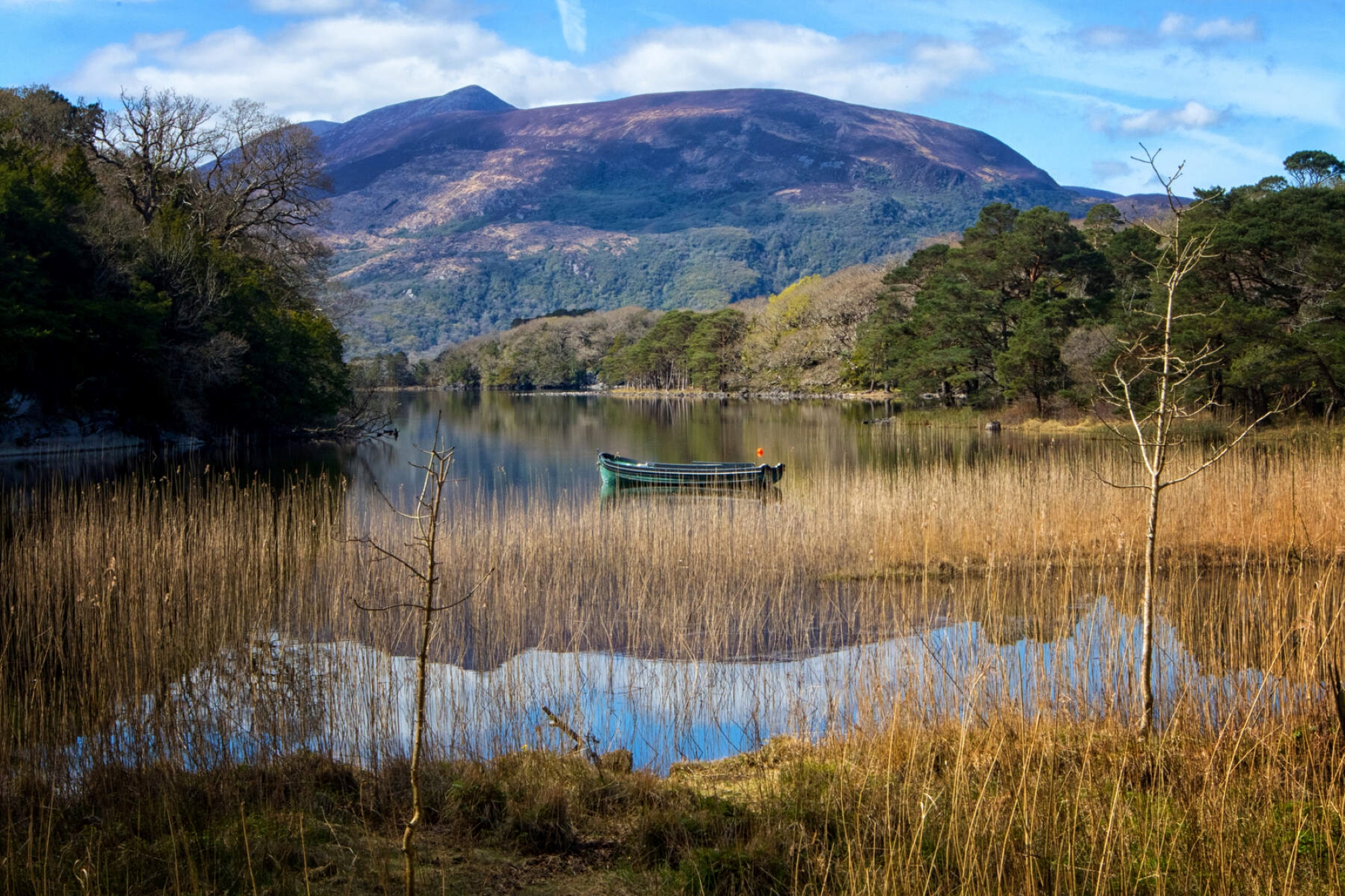 Killarney National Park - Muckross House