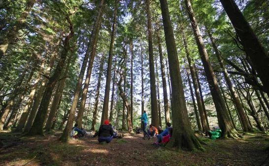 Ireland Through the Seasons: Best Times to Visit and What to Expect